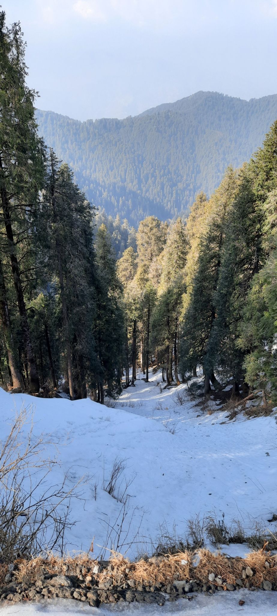 Photo of 4 DAY TRIP TO CHAMBA, HIMACHAL . by Rahul Sondhi