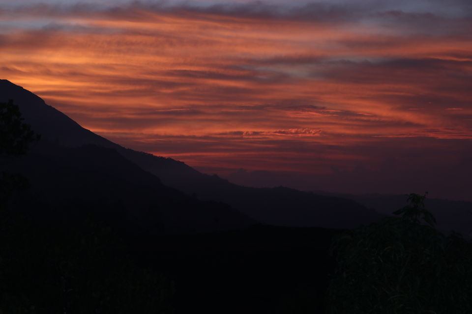 Photo of Munnar, Kerala, India by Amoga Vigram P