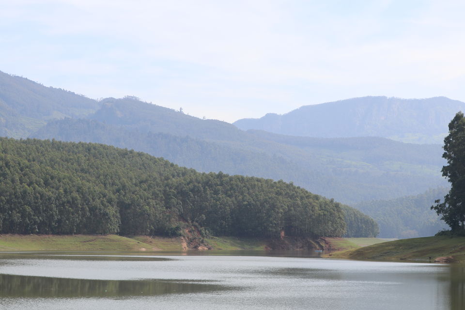 Photo of A Roadtrip to Munnar by Amoga Vigram P