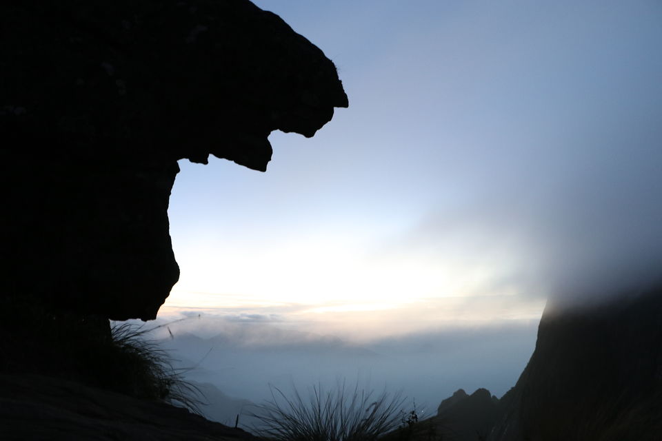 Photo of A Roadtrip to Munnar by Amoga Vigram P