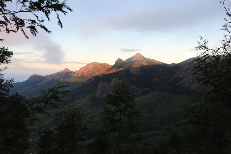 Photo of A Roadtrip to Munnar by Amoga Vigram P