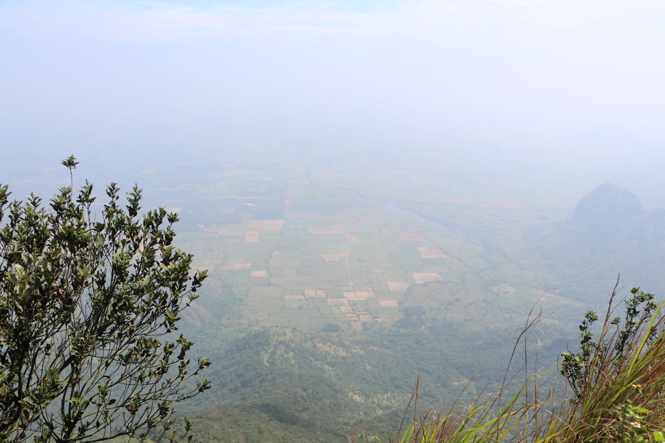 Photo of A Roadtrip to Munnar by Amoga Vigram P