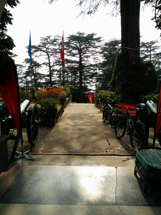 Photo of Raj road, Chotta Shimla, Bhawan, Himachal Pradesh 171002, India by Prateek Dham