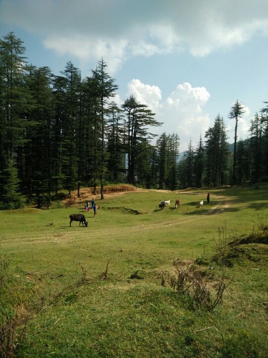 Photo of NH5, Himachal Pradesh 171212, India by Prateek Dham