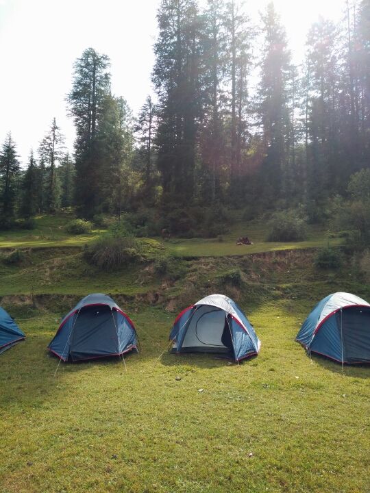 Photo of NH5, Himachal Pradesh 171212, India by Prateek Dham