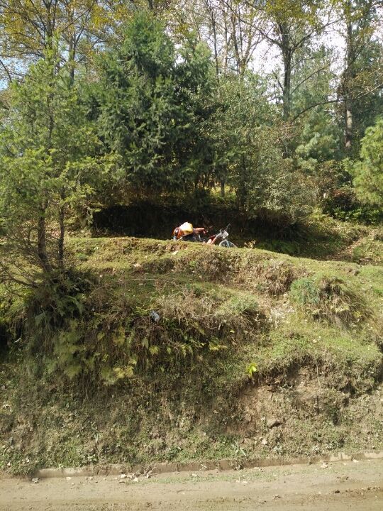Photo of Shilhi, Himachal Pradesh 172026, India by Prateek Dham