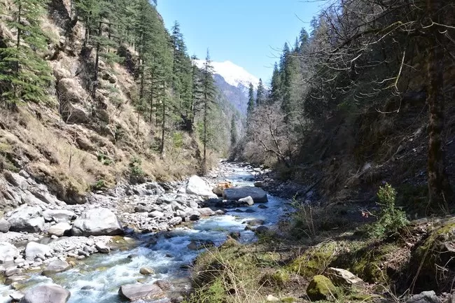 Photo of Sankri, Uttarakhand, India by Prateek Dham