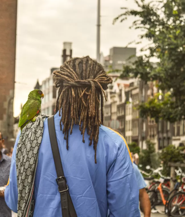 Photo of Netherlands by Prateek Dham