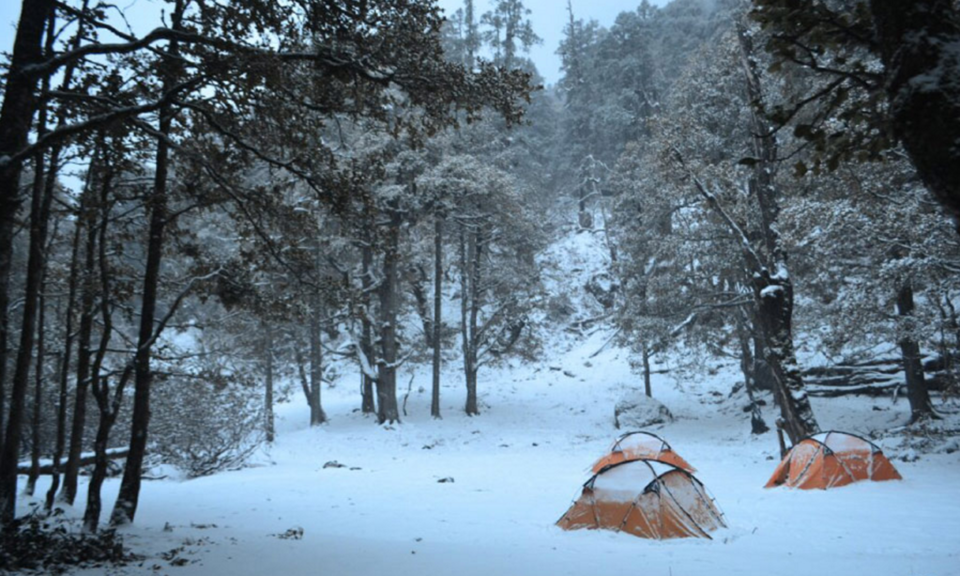Photo of Complete Your Tripoto Profile And Stand A Chance To Win 2 Treks To Kuari Pass. *No Conditions Apply 1/9 by Prateek Dham