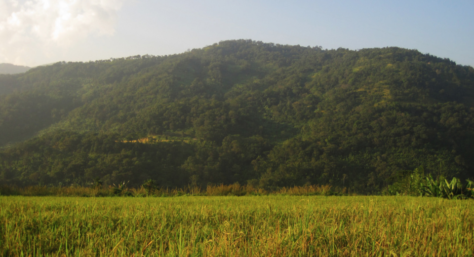 Photo of Why A Tiny Village Called Jatinga In Assam Is One Of The Creepiest Places on Earth by Prateek Dham