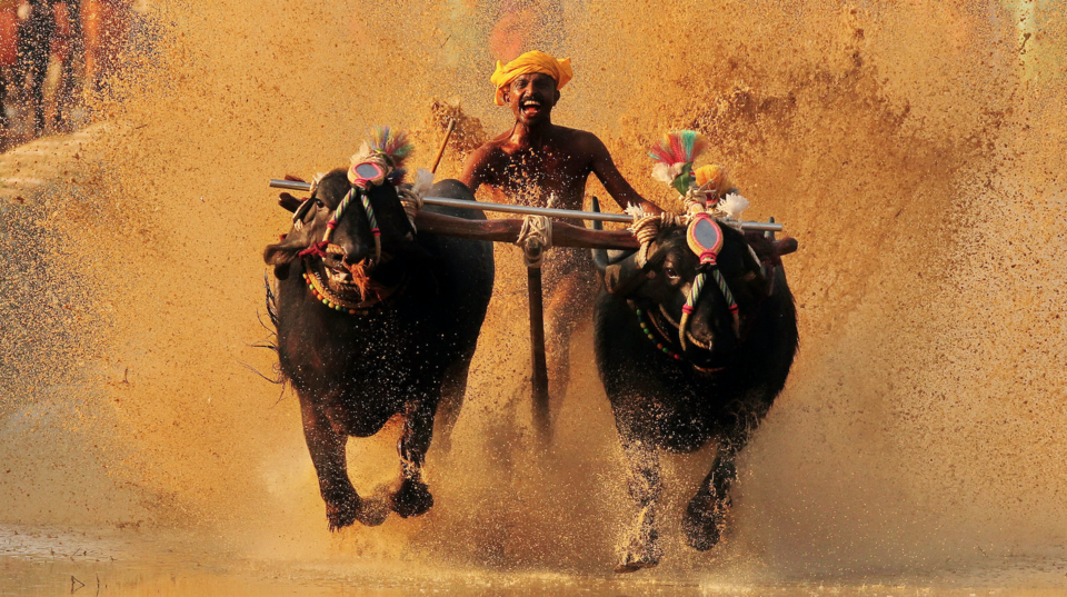 Photo of Karnataka in 7 Days: A Day-Wise Itinerary To Explore The Best Places to Visit in Karnataka 1/1 by Prateek Dham
