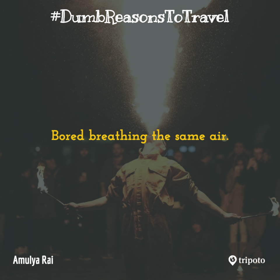 Photo of 30 Of The Dumbest Reasons For Why People Travel, As Submitted By Tripoto Users 27/31 by Prateek Dham
