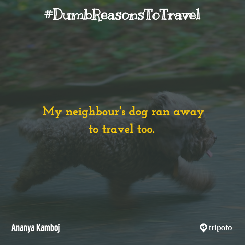 Photo of 30 Of The Dumbest Reasons For Why People Travel, As Submitted By Tripoto Users 29/31 by Prateek Dham