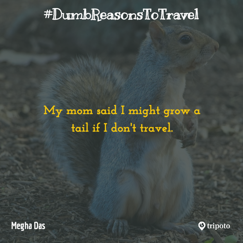 Photo of 30 Of The Dumbest Reasons For Why People Travel, As Submitted By Tripoto Users 24/31 by Prateek Dham