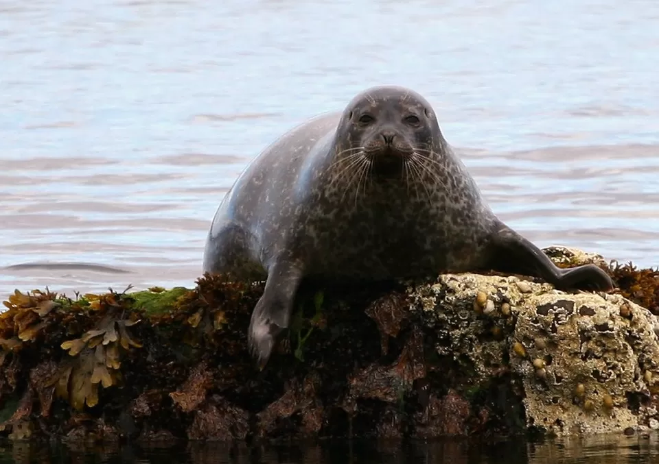 Photo of False Bay, Cape Town, South Africa by Prateek Dham