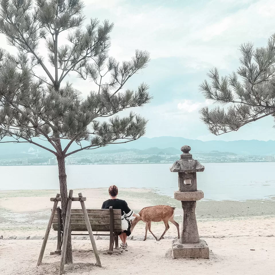 Photo of Miyajima Island, Hatsukaichi, Hiroshima Prefecture, Japan by Prateek Dham