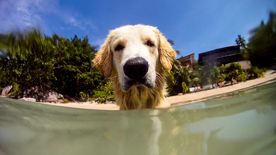 Photo of Territorio de Zaguates, Alajuela, Costa Rica by Prateek Dham