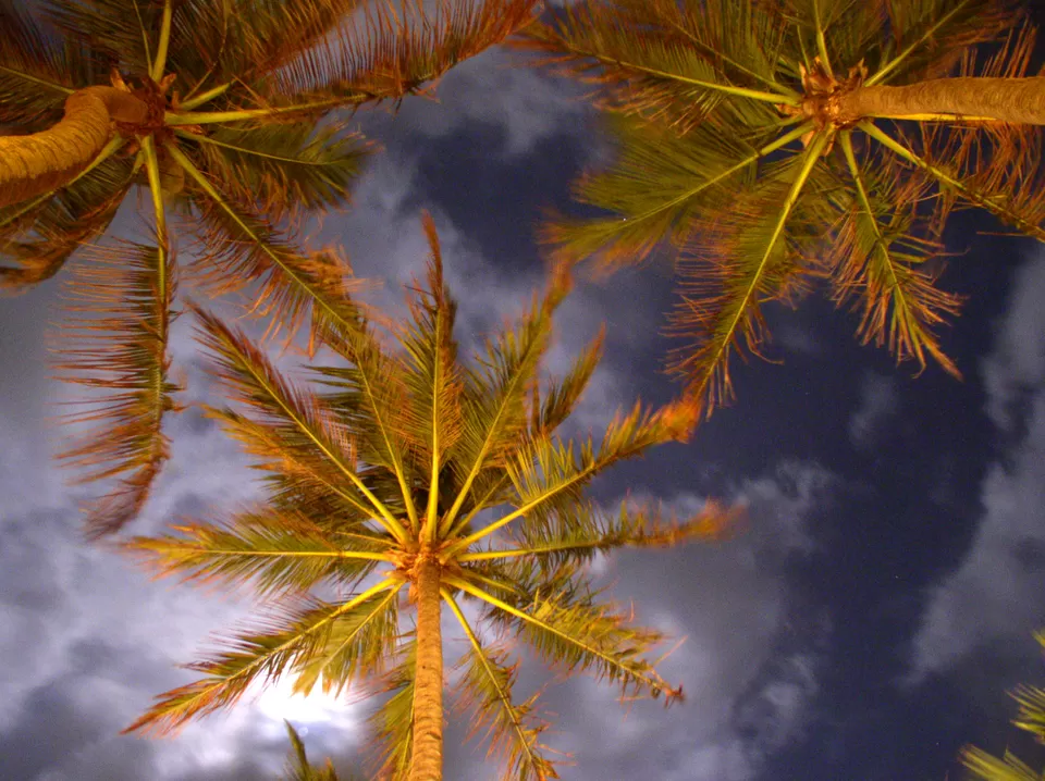 Photo of Sri Lanka by Prateek Dham