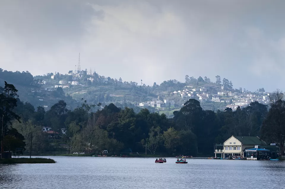 Photo of Kodaikanal, Tamil Nadu, India by Prateek Dham