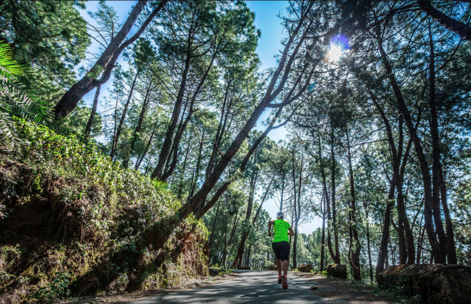 Photo of Get Ready For The Hell Race: The Ultimate Himalayan Test for Your Endurance in Bir-Billing 1/9 by Prateek Dham