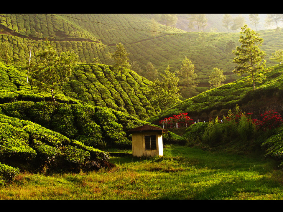Photo of 11 Surreal UNESCO World Heritage Sites In India You Had Absolutely No Idea About by Prateek Dham