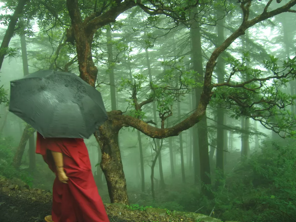 Photo of Dharamkot, Dharamshala, Himachal Pradesh, India by Prateek Dham