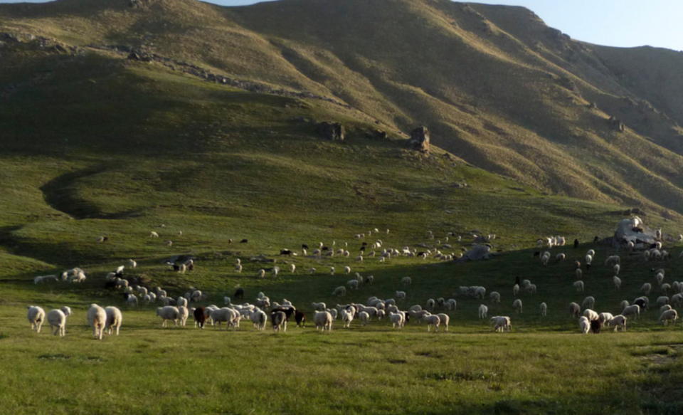 Photo of 8 Reasons Why A Mountain Trek Is A Far Better Alternative To A Mundane Weekend Getaway 5/9 by Prateek Dham