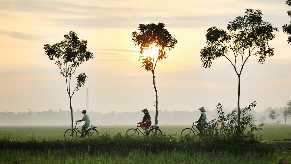 Photo of Dream Come True For Cyclists! Win An All-Expenses-Paid Coastal Cycling Expedition From Mumbai To Goa 3/3 by Prateek Dham