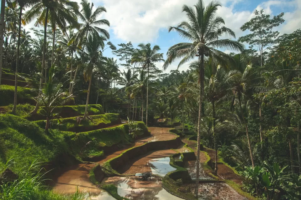 Photo of Bali, Indonesia by Prateek Dham