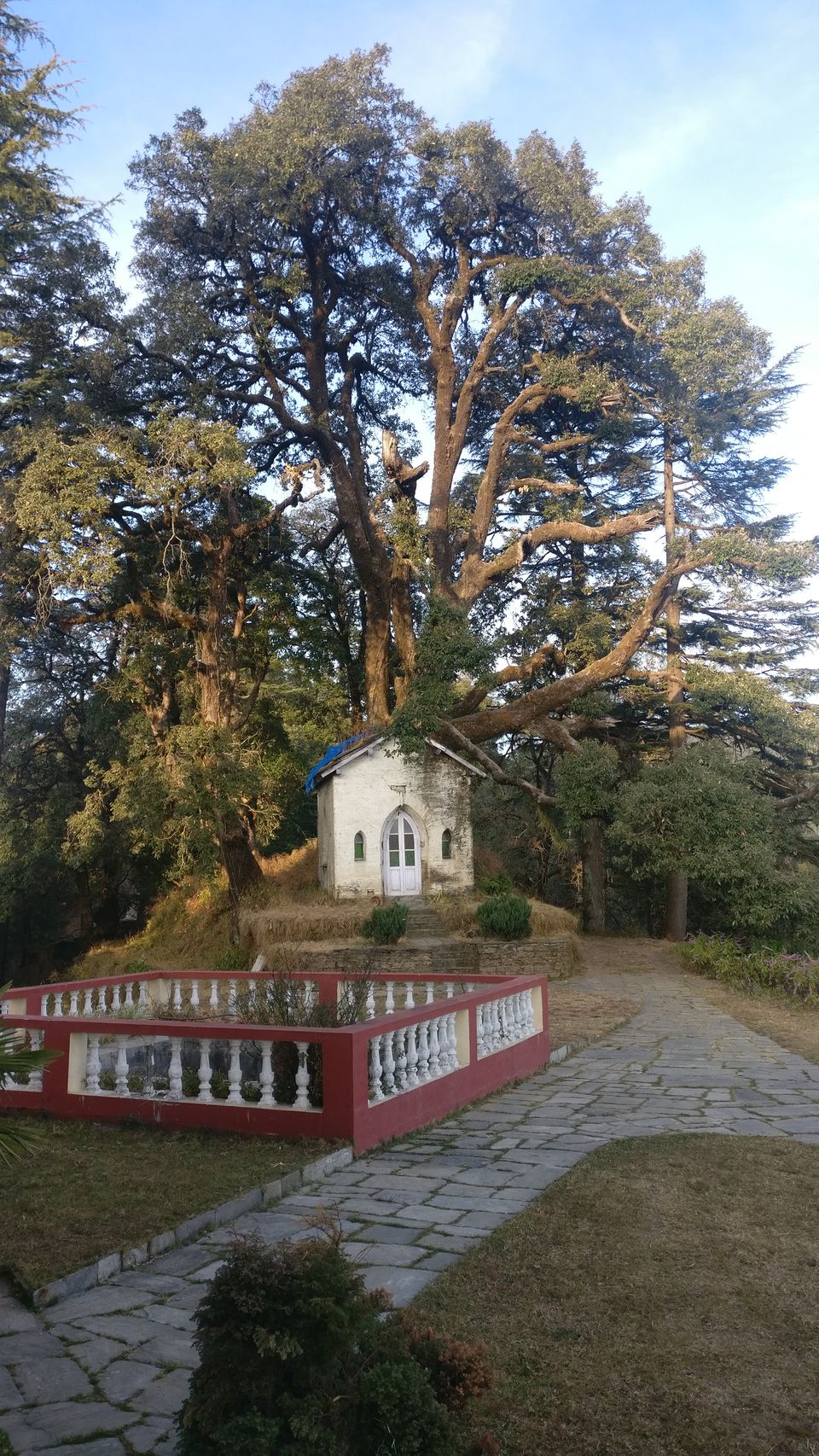 Photo of Live Like The King Of The Jungle At This 150-Year-Old Mansion Inside Binsar Wildlife Sanctuary by Prateek Dham