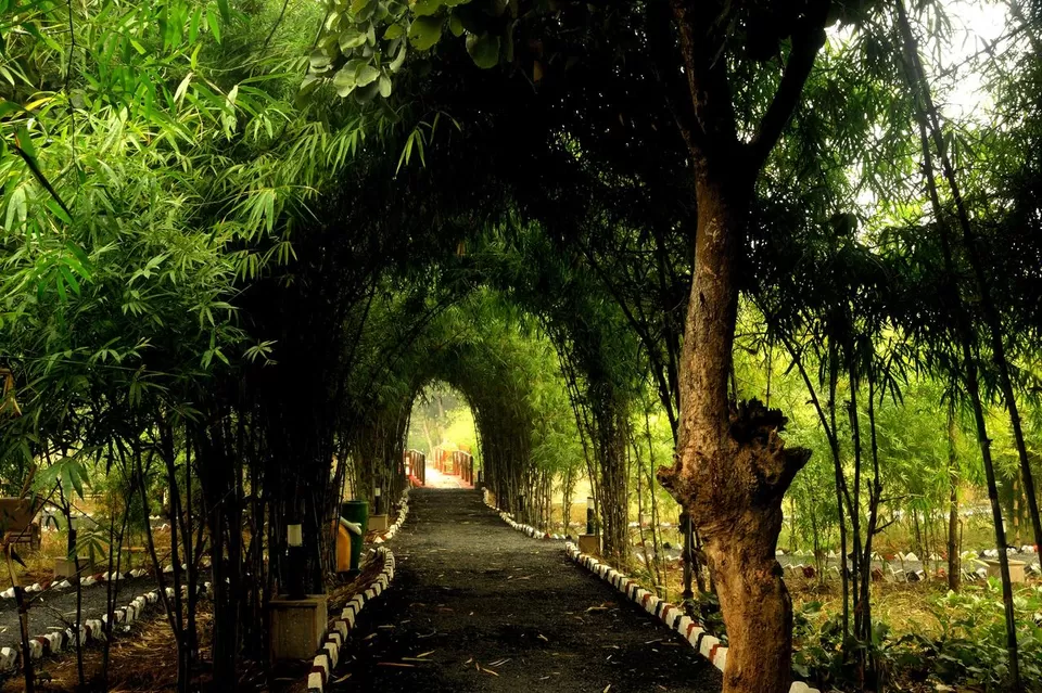 Photo of Lemon Tree Wildlife Resort Bandhavgarh, Tala, Madhya Pradesh, India by Prateek Dham