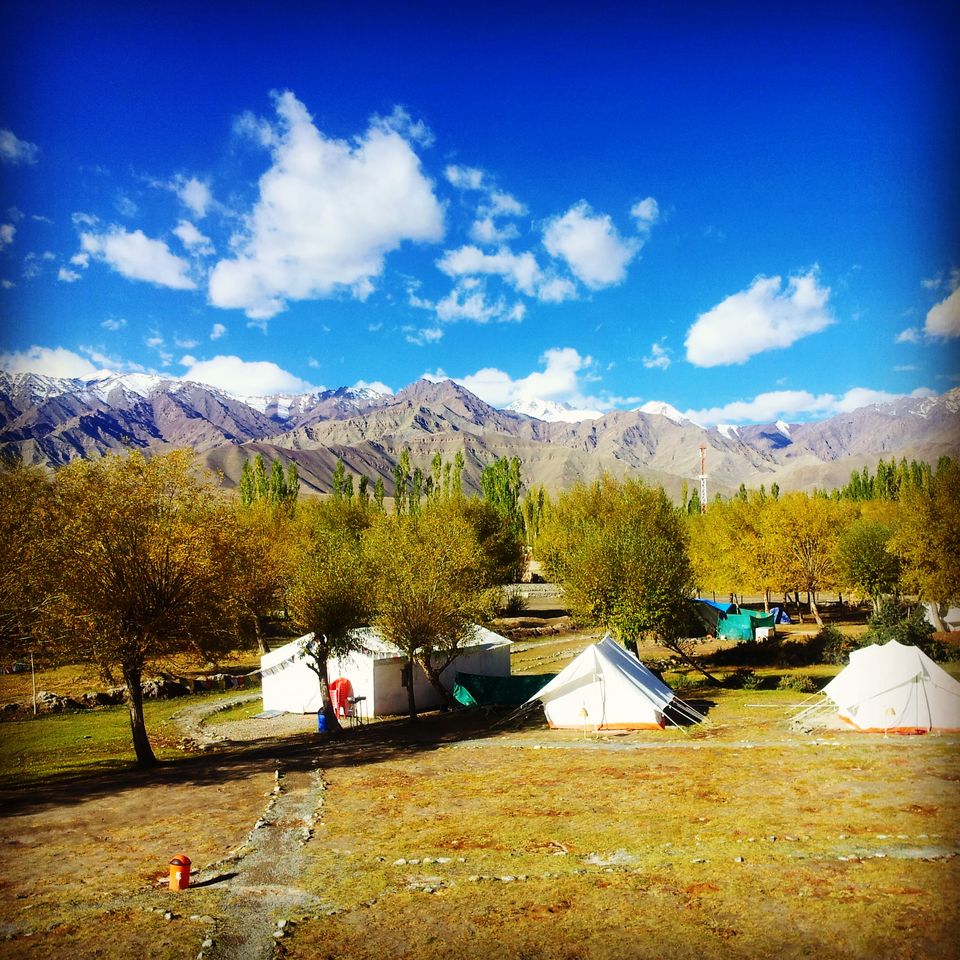 Photo of Leh In Under ₹1,500 Per Head Per Day: Stay Under A Million Stars Telling Tales Around Bonfires by Prateek Dham