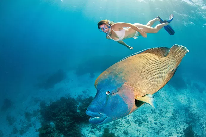 Photo of 8 Magical Things That You Can Do In Queensland by Prateek Dham