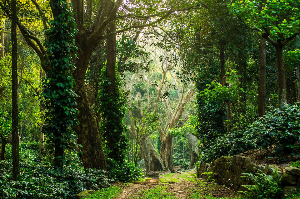 Photo of 7 Outstanding Weekend Road Trip Getaways For Indian Summer by Prateek Dham