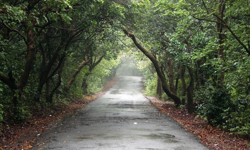 Photo of 7 Outstanding Weekend Road Trip Getaways For Indian Summer by Prateek Dham