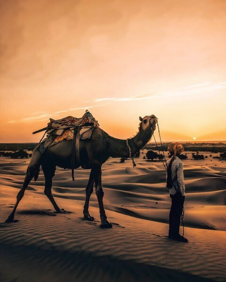 Photo of This Guy's Radical Way Of Looking At Rajasthan Will Inspire You To Visit The State Right Away! 2/2 by Prateek Dham