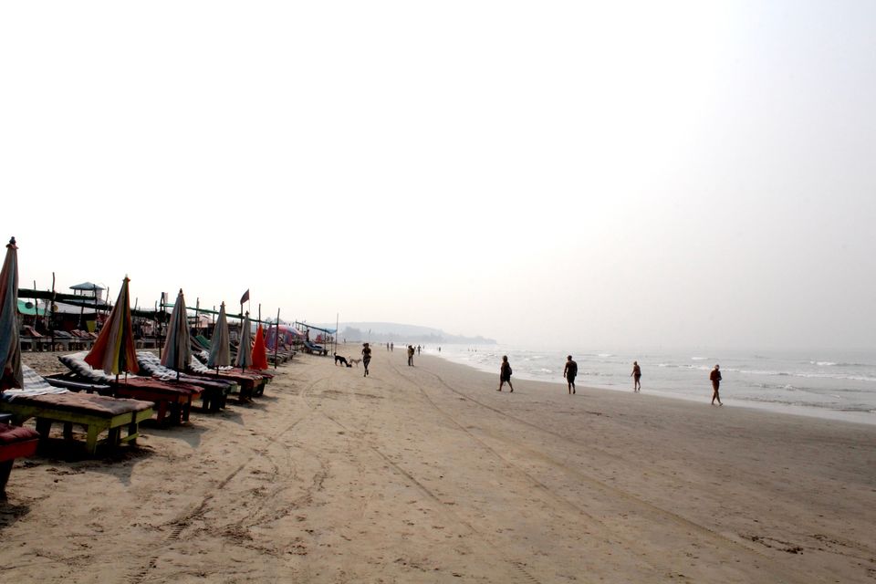 Photo of Rasta Mansion Backpacker Hostel, Arambol, Goa, India by prasoon padhye