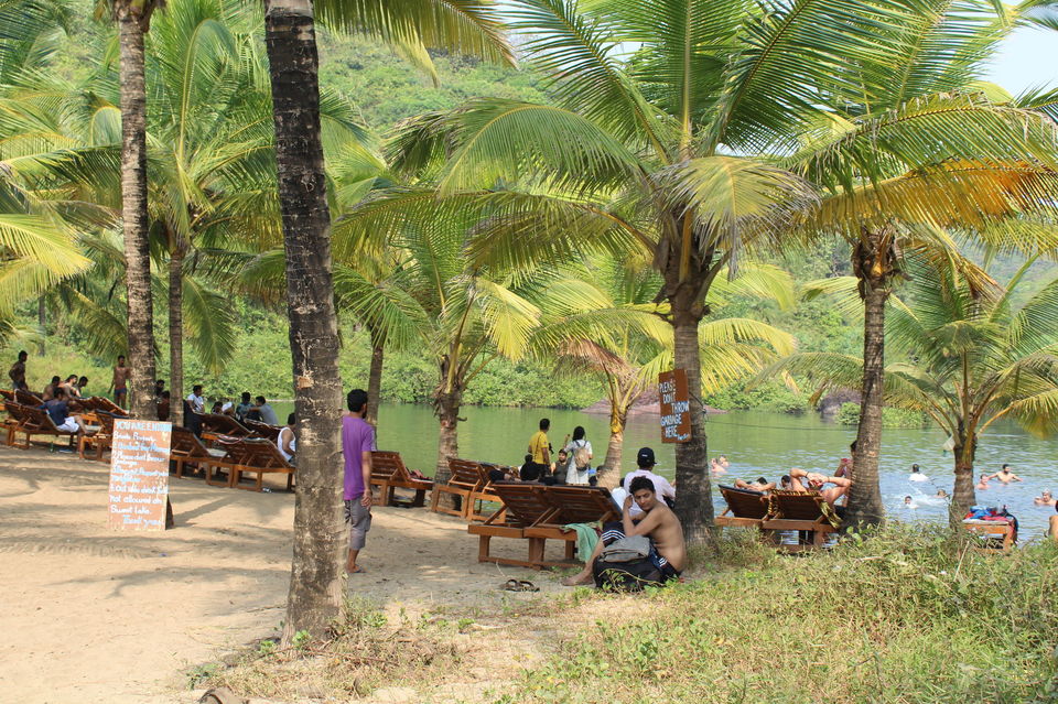 Photo of Arambol Sweet Water Lake, Paliyem, Goa by prasoon padhye