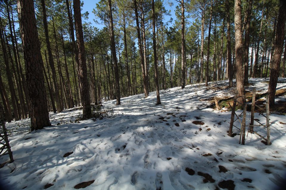 Photo of Mussoorie, Uttarakhand, India by prasoon padhye