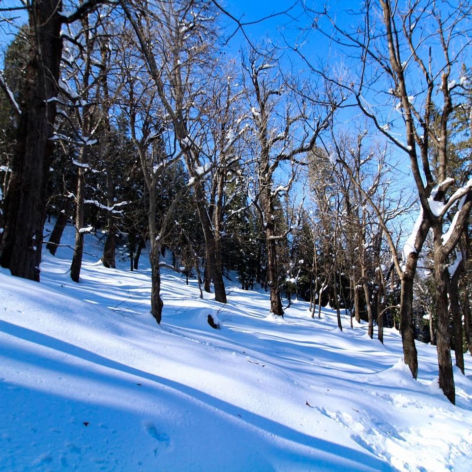 Photo of The mountainous path of Kedarkanth- a perfectly unfinished trek by prasoon padhye