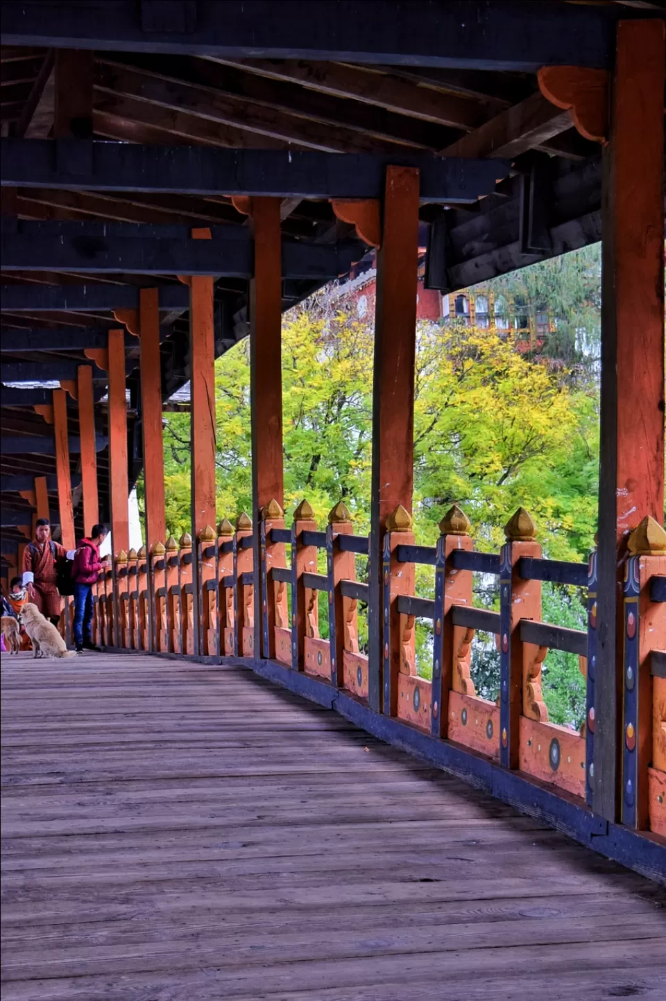Photo of Punakha Dzong by its_ Jintyr
