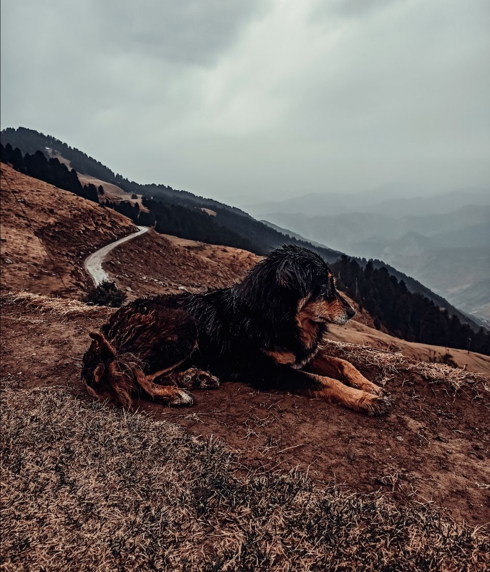 Photo of Prashar Lake by Abhijit singh