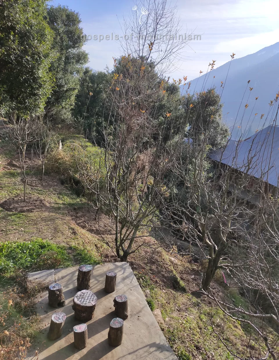 Photo of Lazy Brunch @Apidor Cafe - Review #manali #tripotocommunity #cafe #himachal by gospels-of-mountainism