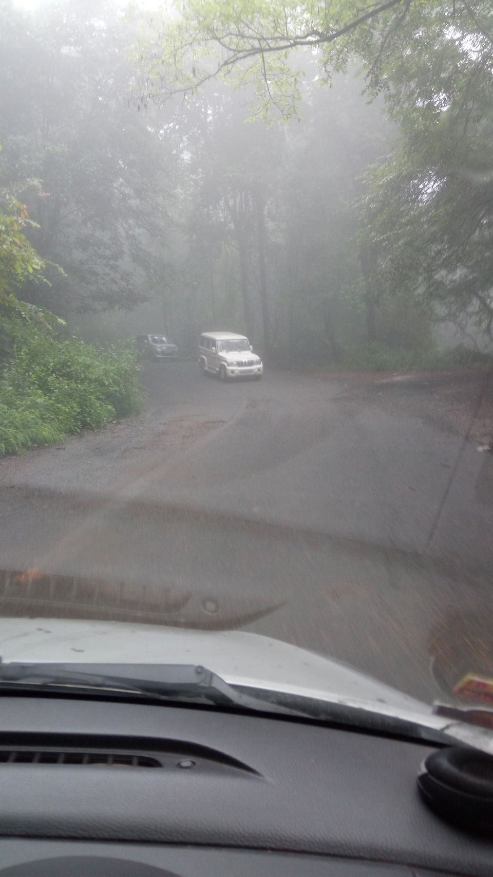 Photo of A drive through Silent Valley Foot hills. 7/15 by itsmuhasin