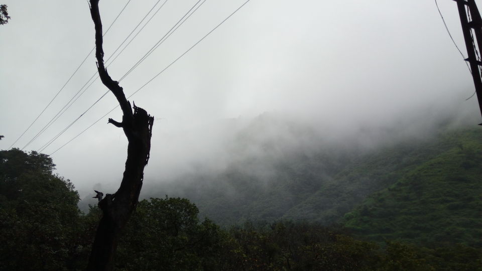 Photo of A drive through Silent Valley Foot hills. 5/15 by itsmuhasin