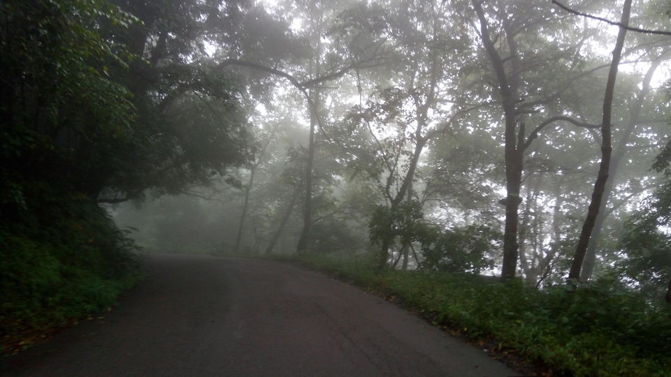 Photo of A drive through Silent Valley Foot hills. 3/15 by itsmuhasin