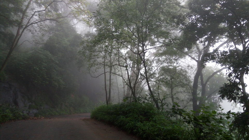 Photo of A drive through Silent Valley Foot hills. 11/15 by itsmuhasin