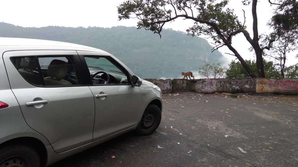 Photo of A drive through Silent Valley Foot hills. 13/15 by itsmuhasin