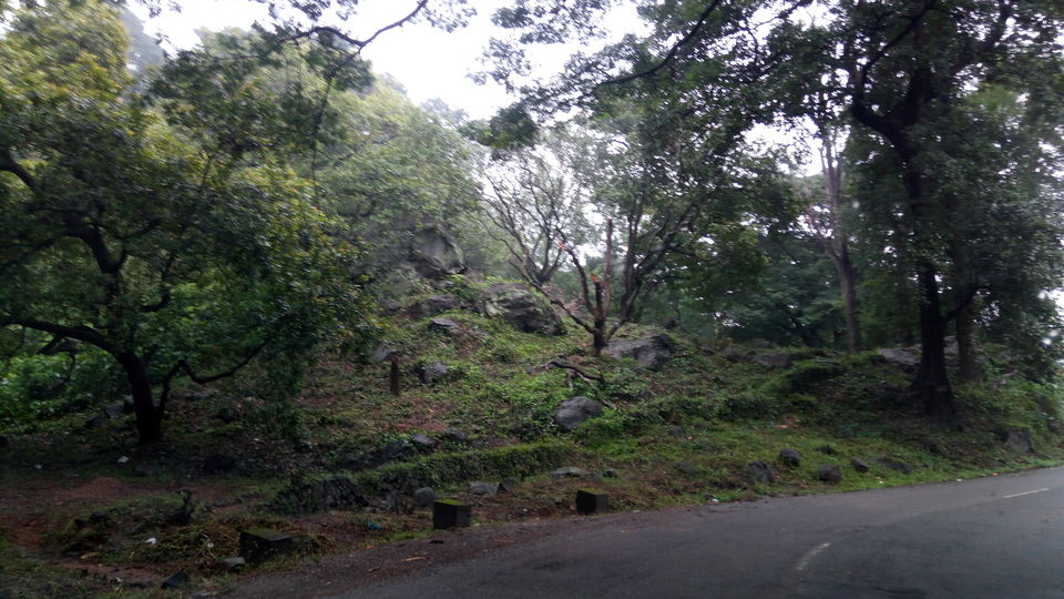 Photo of A drive through Silent Valley Foot hills. 6/15 by itsmuhasin
