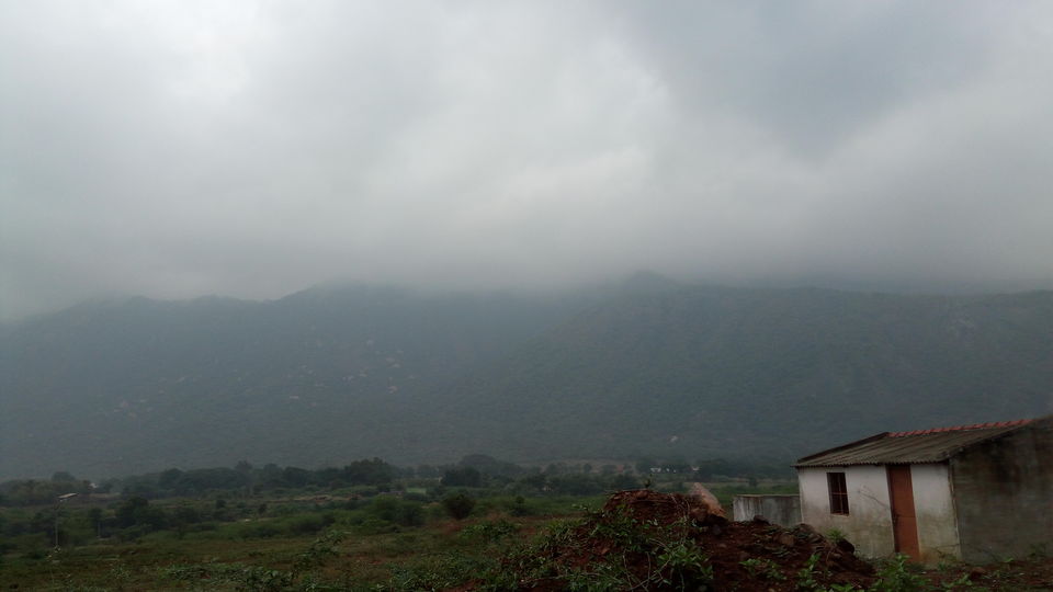 Photo of A drive through Silent Valley Foot hills. by Muhsin Muneer